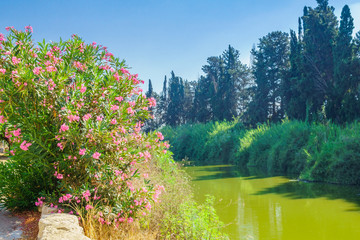 Obraz premium Nahal Alexander Nature Reserve