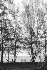 Sea, beach surrounded by tree,lonely people,black and white