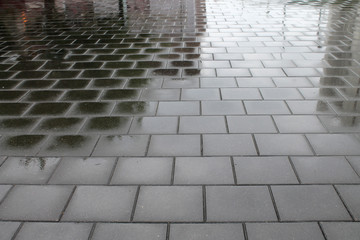gray paving slab after rain for background