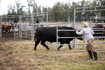 corral