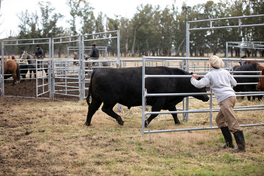 corral