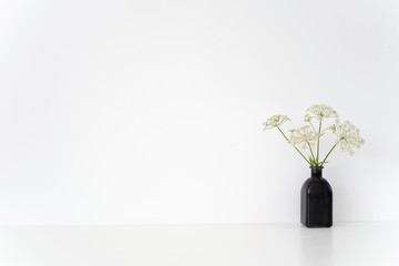 Indoor interior. Black vase with Aegopodium bouquet on table on white background. Cute soft home decor. Mockup