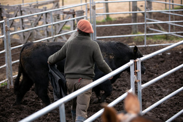 corral