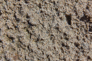 Sand after rain, texture.