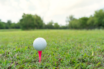 Close up shot of Golf ball on pink tee in golf course.
Golf ball on green grass.