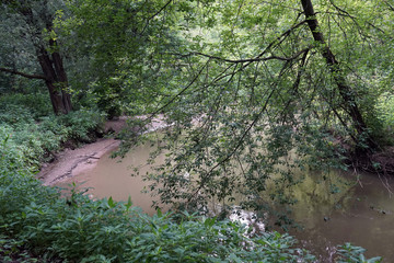 Setun river