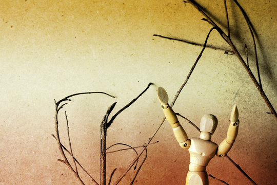 a model stand in front of the dry branches