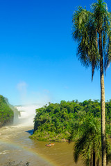 Fototapeta na wymiar Iguazu National Park
