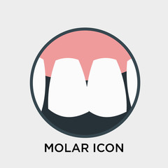 Molar icon vector sign and symbol isolated on white background, Molar logo concept