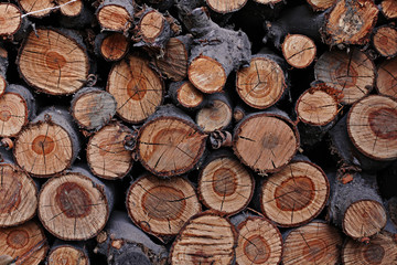 A tight stack of old wooden logs and firewood with cracks