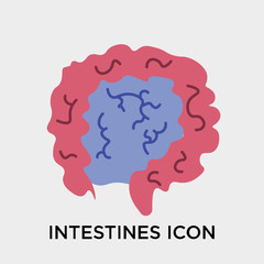 Intestines icon vector sign and symbol isolated on white background, Intestines logo concept