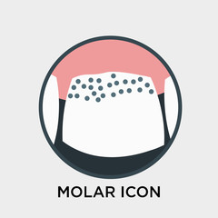 Molar icon vector sign and symbol isolated on white background, Molar logo concept