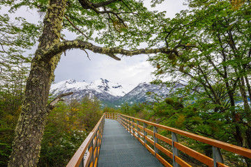 Footpath and landscape in the Los Glaciares National Park