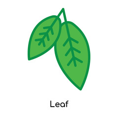 Leaf icon vector sign and symbol isolated on white background, Leaf logo concept