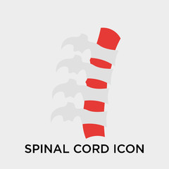 Spinal cord icon vector sign and symbol isolated on white background, Spinal cord logo concept