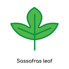 Sassafras leaf icon vector sign and symbol isolated on white background, Sassafras leaf logo concept