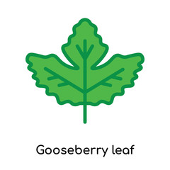 Obraz premium Gooseberry leaf icon vector sign and symbol isolated on white background, Gooseberry leaf logo concept