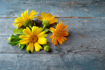 Calendula. flowers with leaves on a old wooden background