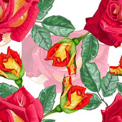 Red roses seamless pattern,vector illustration