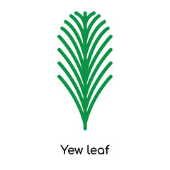 Yew leaf icon vector sign and symbol isolated on white background, Yew leaf logo concept