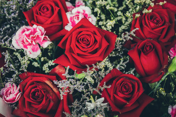 red roses background