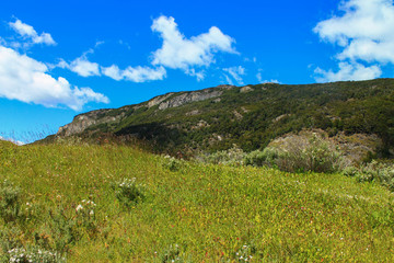 Ushuaia's Landscape