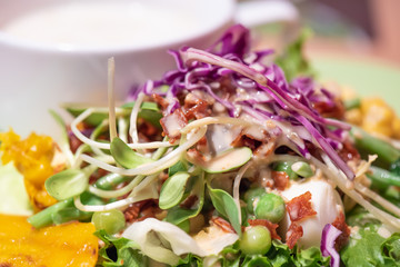 Mix salad with sauce