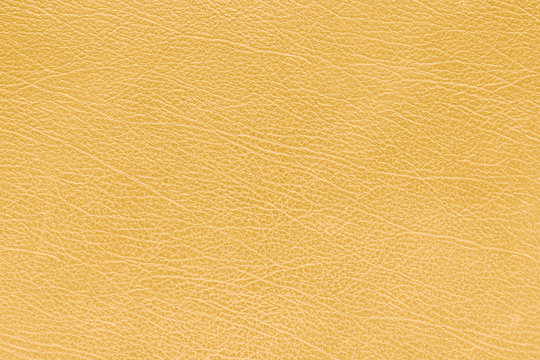 brown leather texture close up of cactus