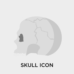 Skull icon vector sign and symbol isolated on white background, Skull logo concept