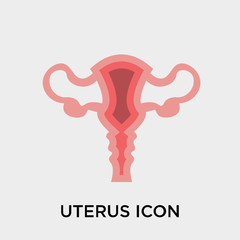 Uterus icon vector sign and symbol isolated on white background, Uterus logo concept