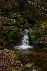 Fototapeta premium Waterfall