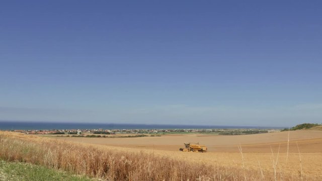 moisson du bl&eacute;
