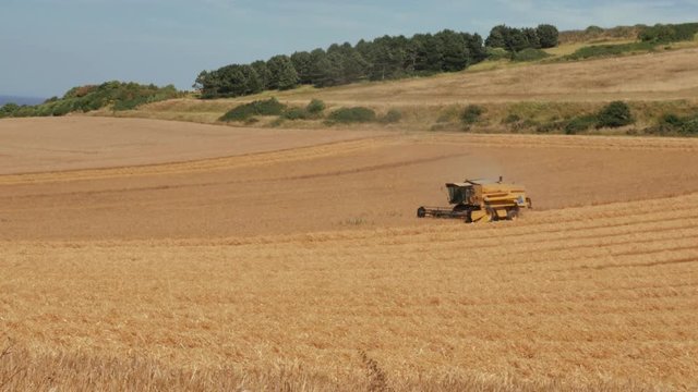 moisson du bl&eacute;