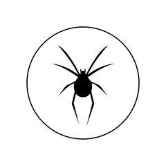 Spider icon, logo