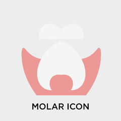 Molar icon vector sign and symbol isolated on white background, Molar logo concept