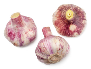 Head of garlic isolated on white