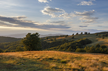Wonderful autumn hillside in Transylvania