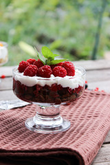Dessert cups of Pecheneg, cottage cheese, raspberry, and apricot