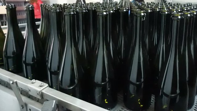 Feeding bottles to the conveyor for further bottling of wine