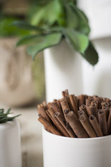 A bundle of cinnamon placed in a holder for an aromatherapy and decoration