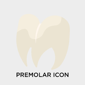 Premolar icon vector sign and symbol isolated on white background, Premolar logo concept