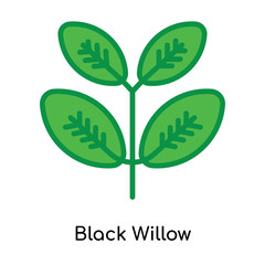 Black Willow icon vector sign and symbol isolated on white background, Black Willow logo concept