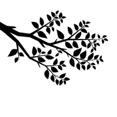 Vector silhouette of the branch tree