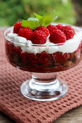 Dessert cups of Pecheneg, cottage cheese, raspberry, and apricot