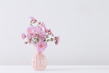 pink asters in vase on white background