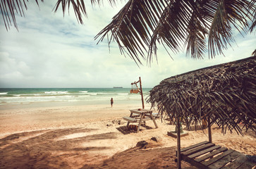 Fototapeta na wymiar Beautiful palm trees beach in tropical climate. Ocean and relaxing people swiming in waves at sunny weather