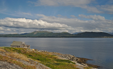 Fototapeta na wymiar Scenic green landscape of Norway during summer time