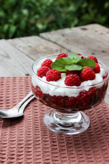 Dessert cups of Pecheneg, cottage cheese, raspberry, and apricot