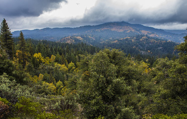 Obraz premium Large valley of trees changing color in the fall