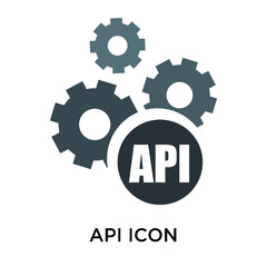Api icon vector sign and symbol isolated on white background, Api logo concept